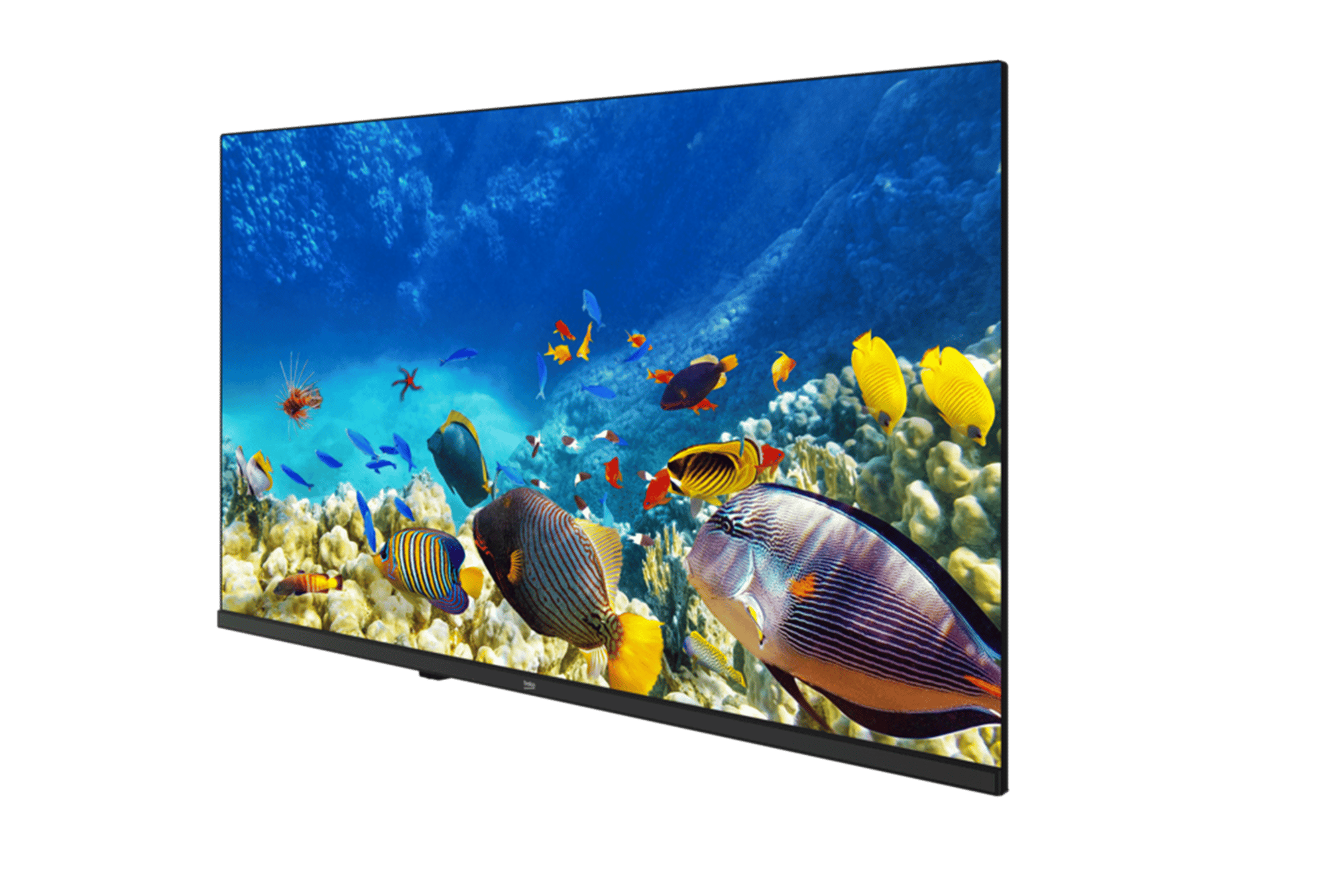 B32K 590G HOTEL TV Hotel Tv