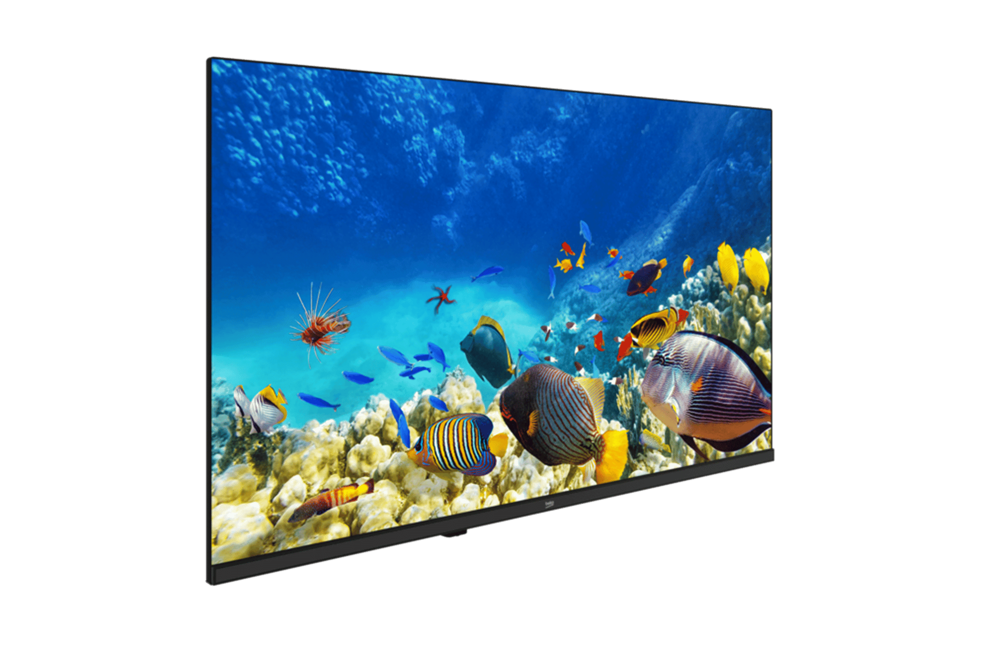 B32K 590G HOTEL TV Hotel Tv