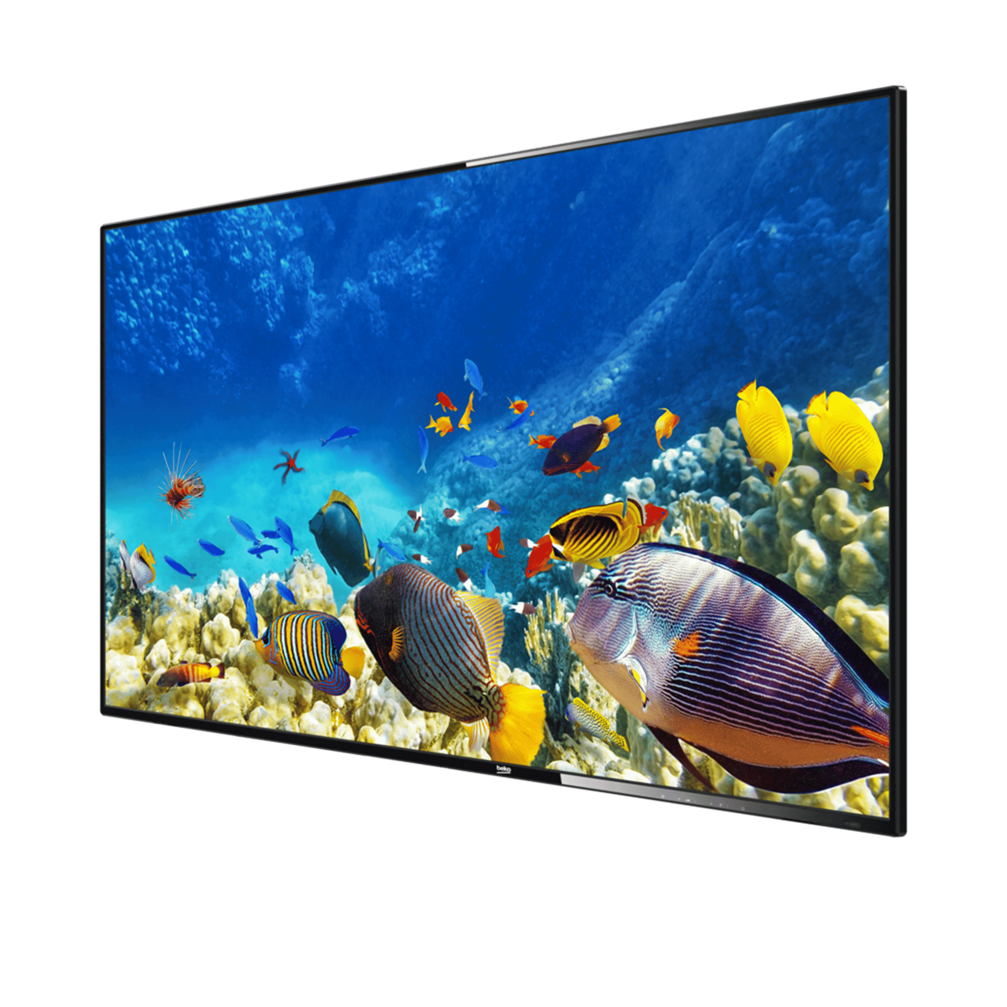 B40K 580 HOTEL TV Full HD& HD TV