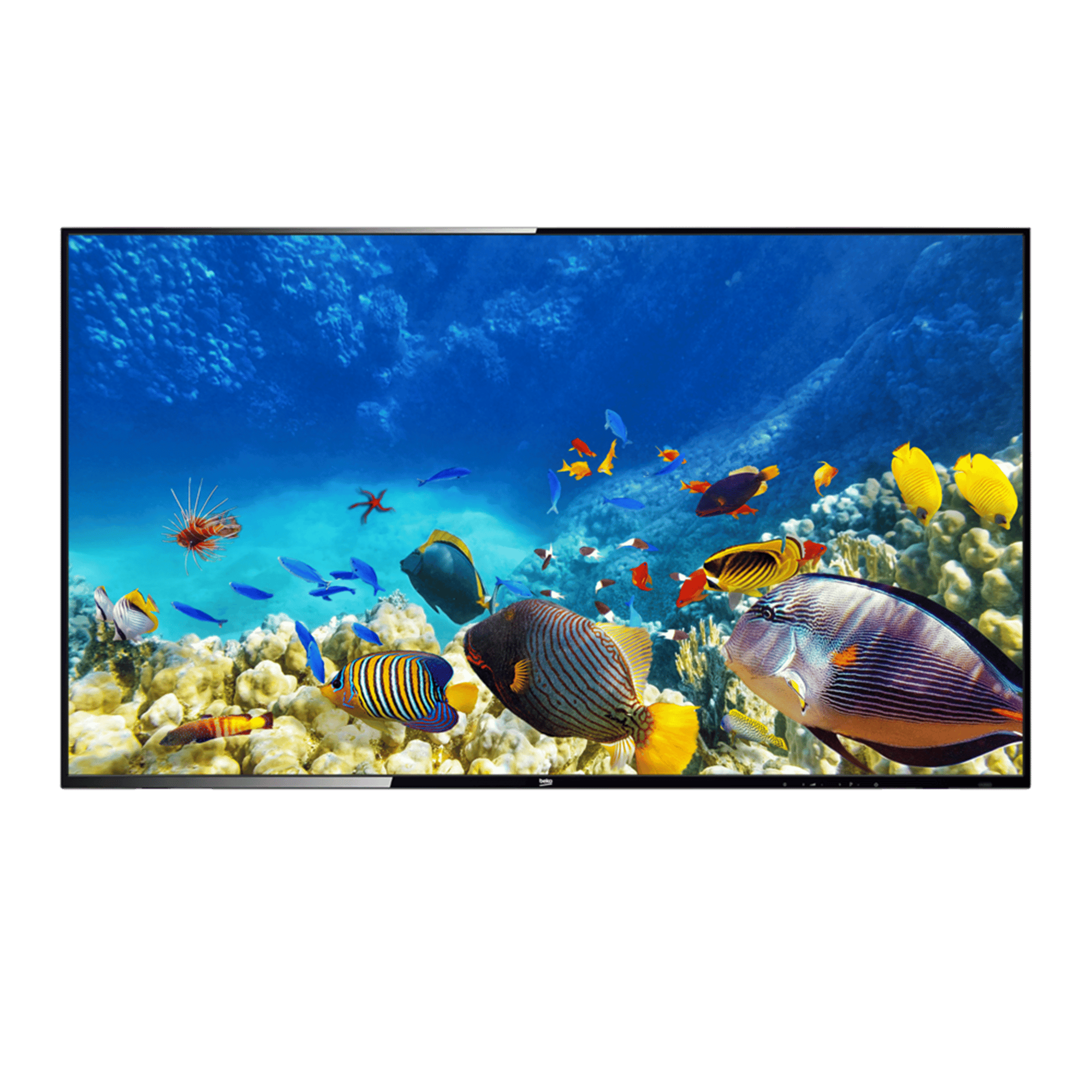 B40K 580 HOTEL TV Full HD& HD TV