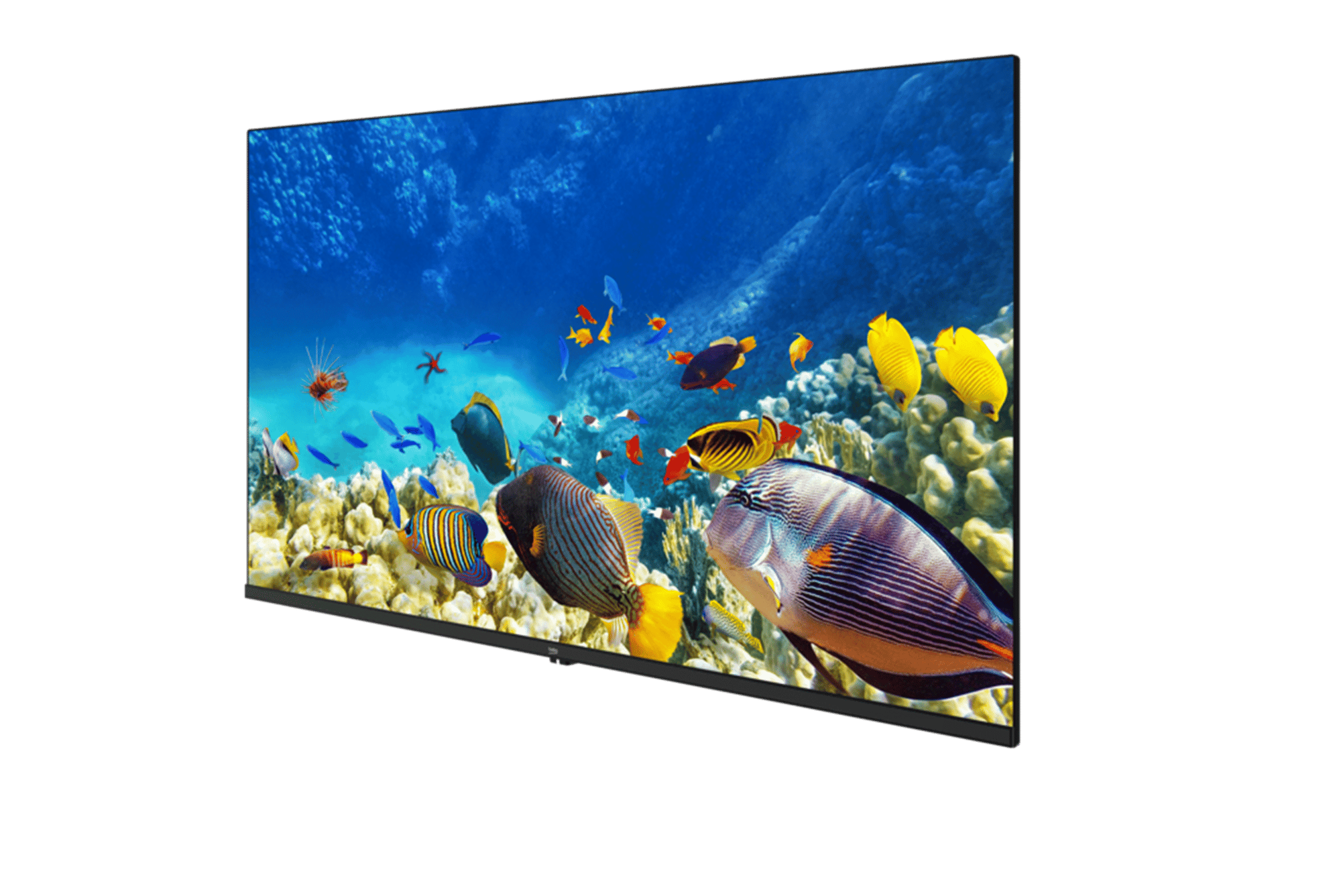 B40K 590G HOTEL TV Hotel Tv