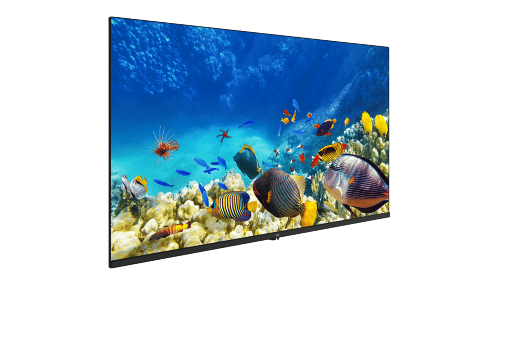 B40K 590G HOTEL TV Hotel Tv