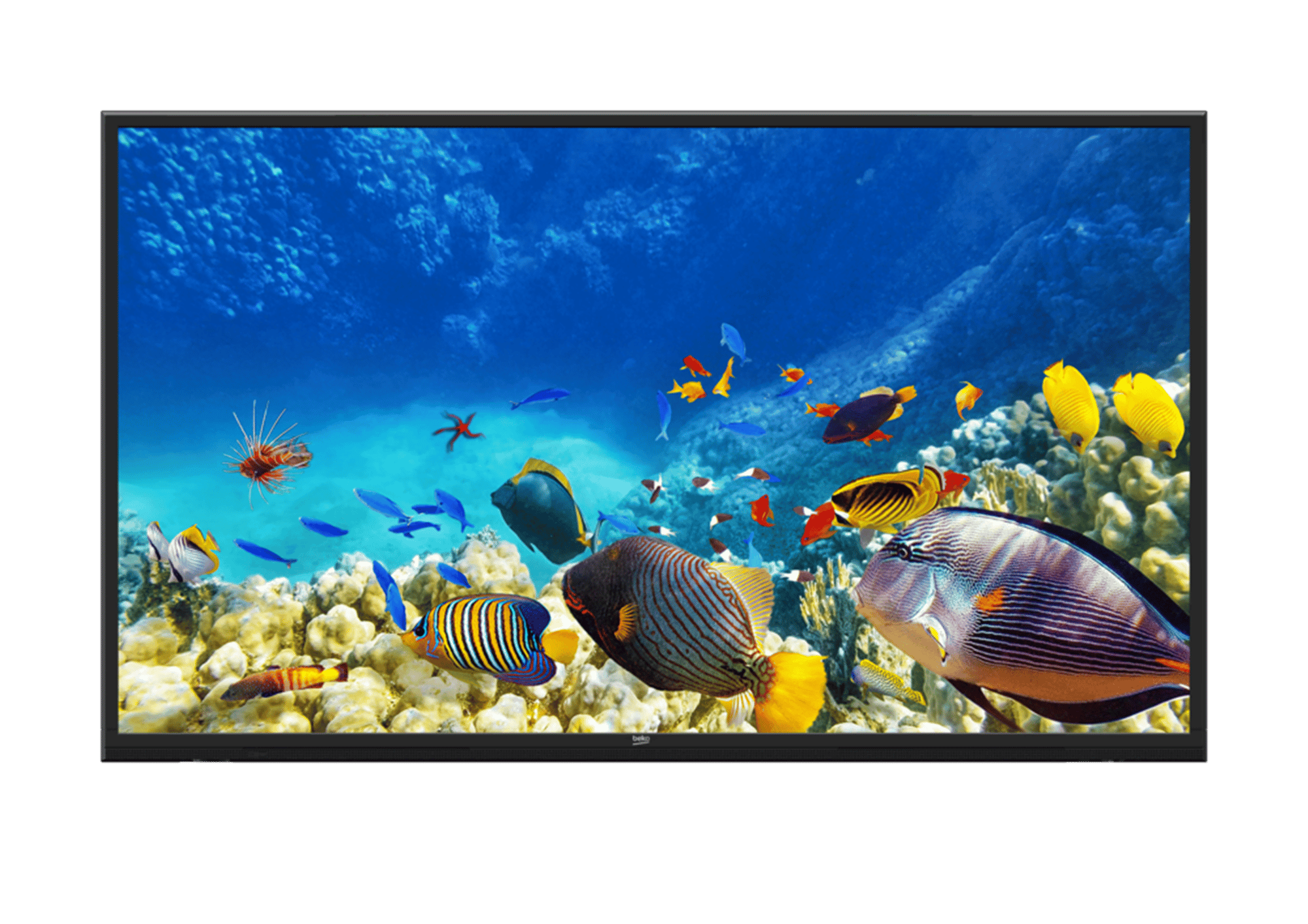 B49K 780G HOTEL TV Smart TV