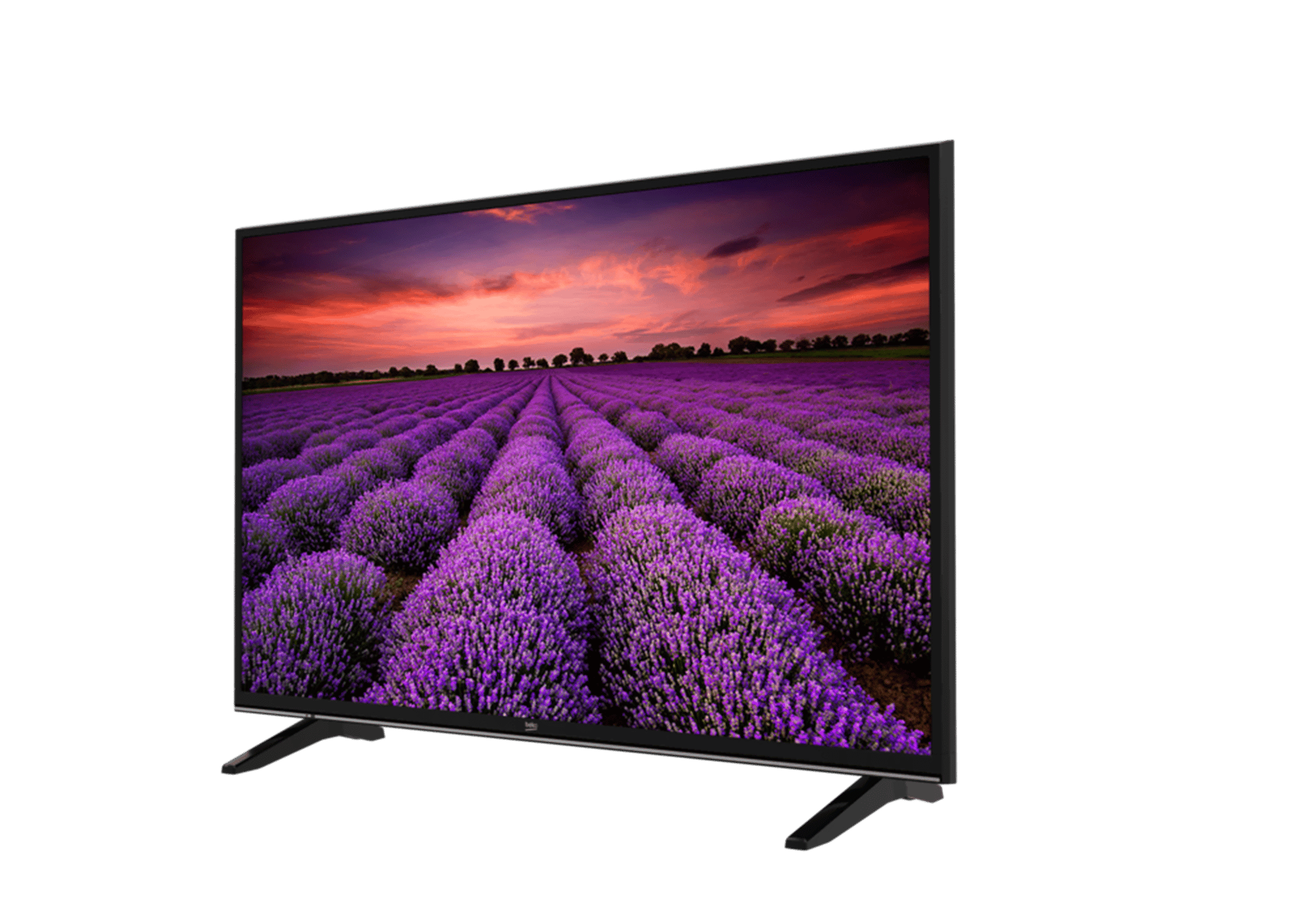 B49L 7950 5B / 4K Non-Smart 49