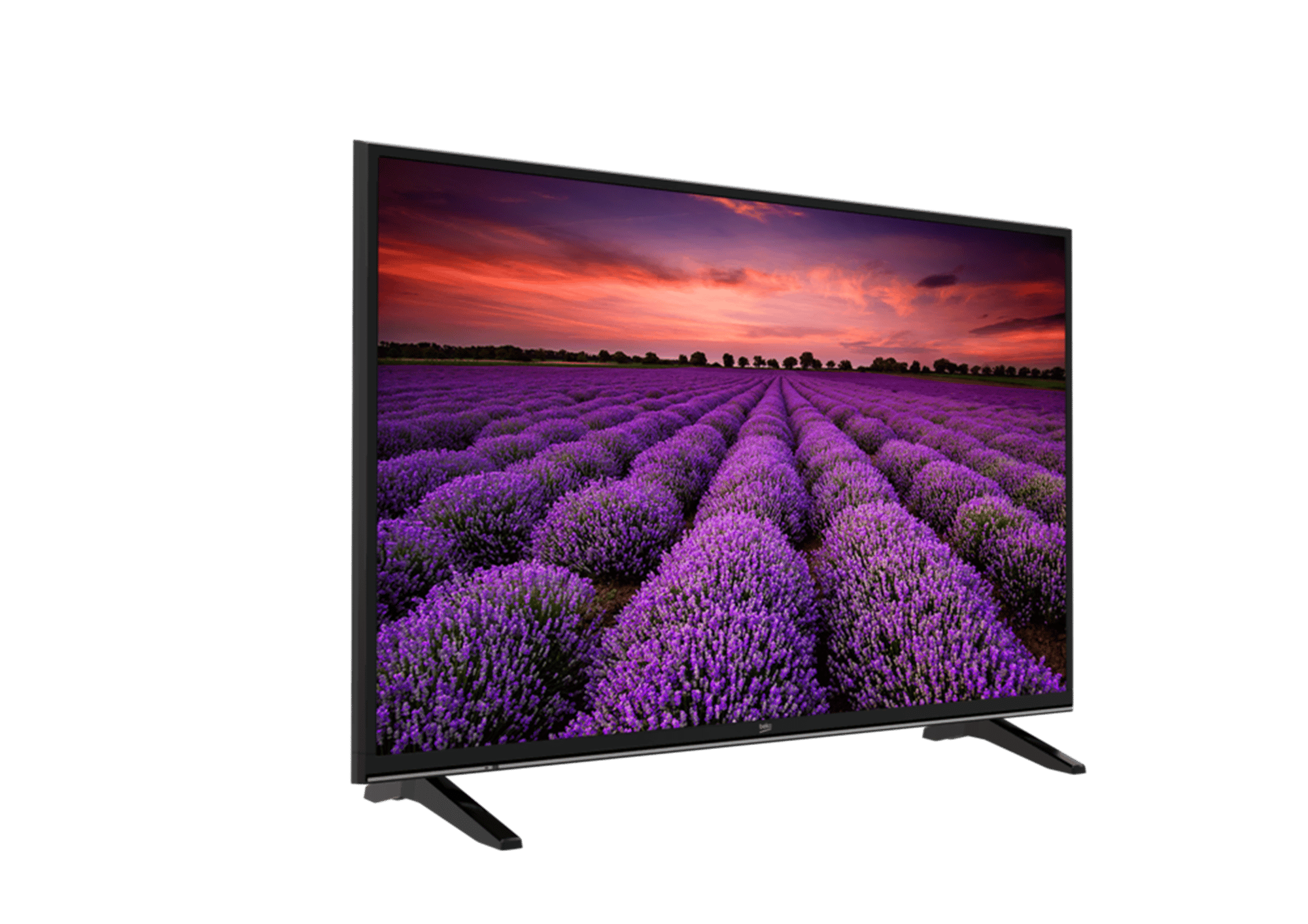 B49L 7950 5B / 4K Non-Smart 49
