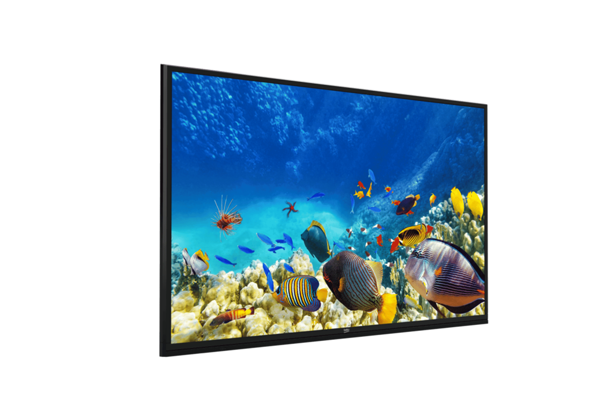 B55K 780G HOTEL TV Smart TV