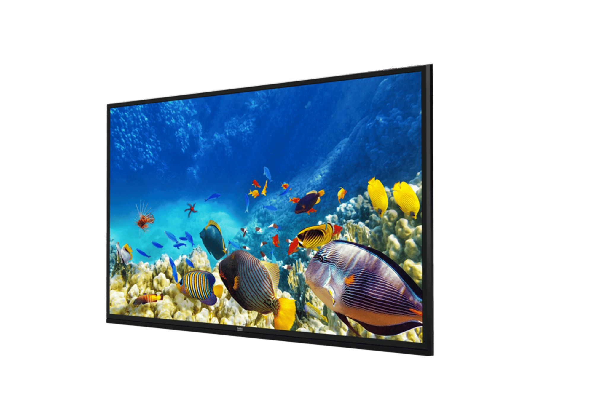 B65K 780G HOTEL TV Smart TV