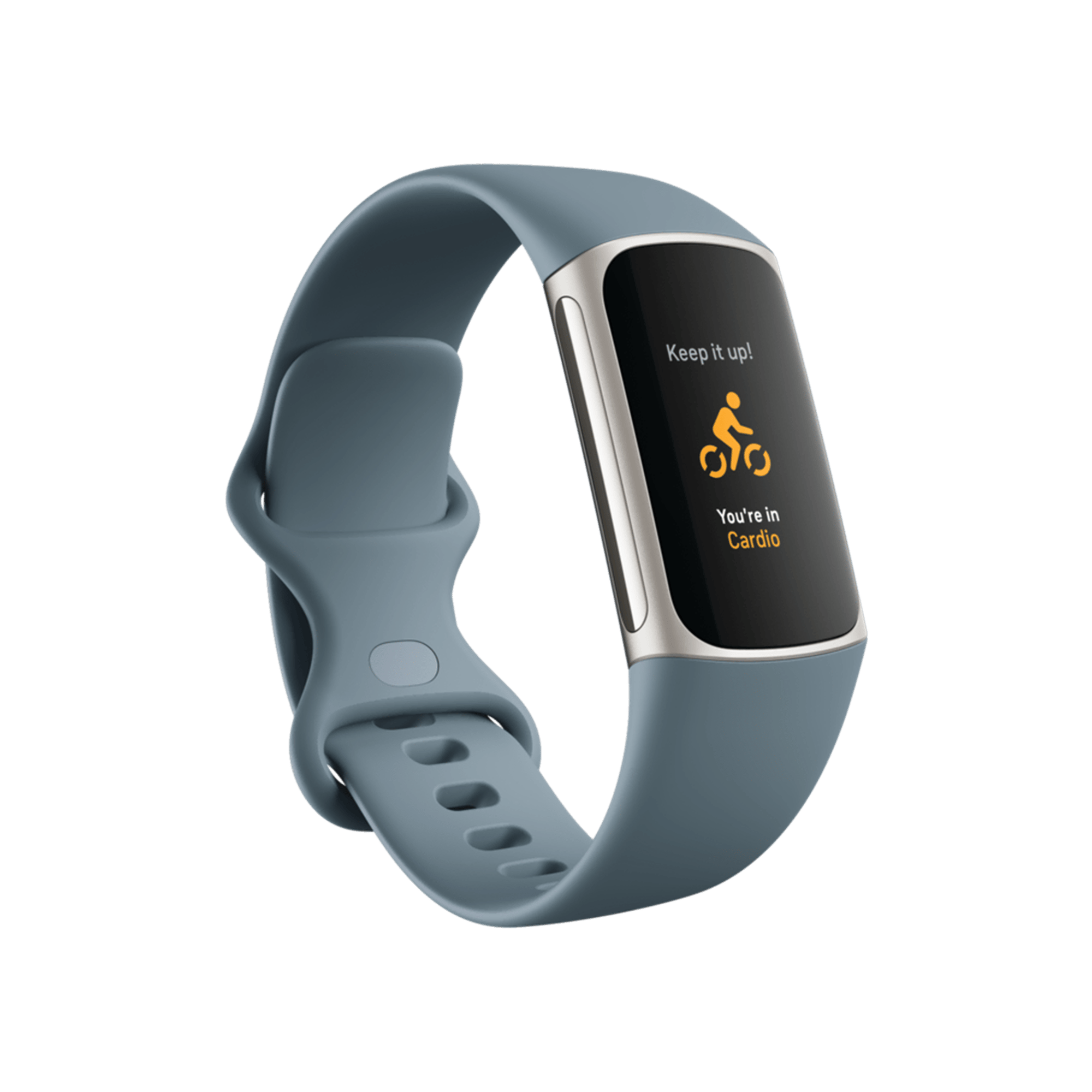 FITBIT Charge 5 - Çelik Mavi/Platin Giyilebilir Teknoloji