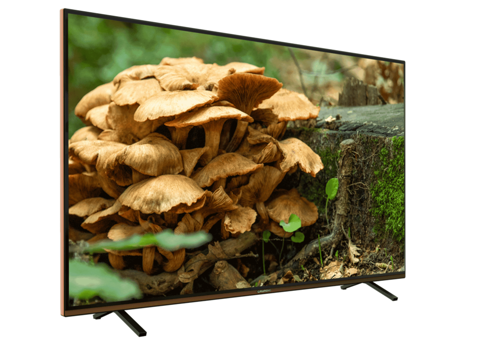 GRUNDIG PARIS 49 CLX 8675 BP Grundig
