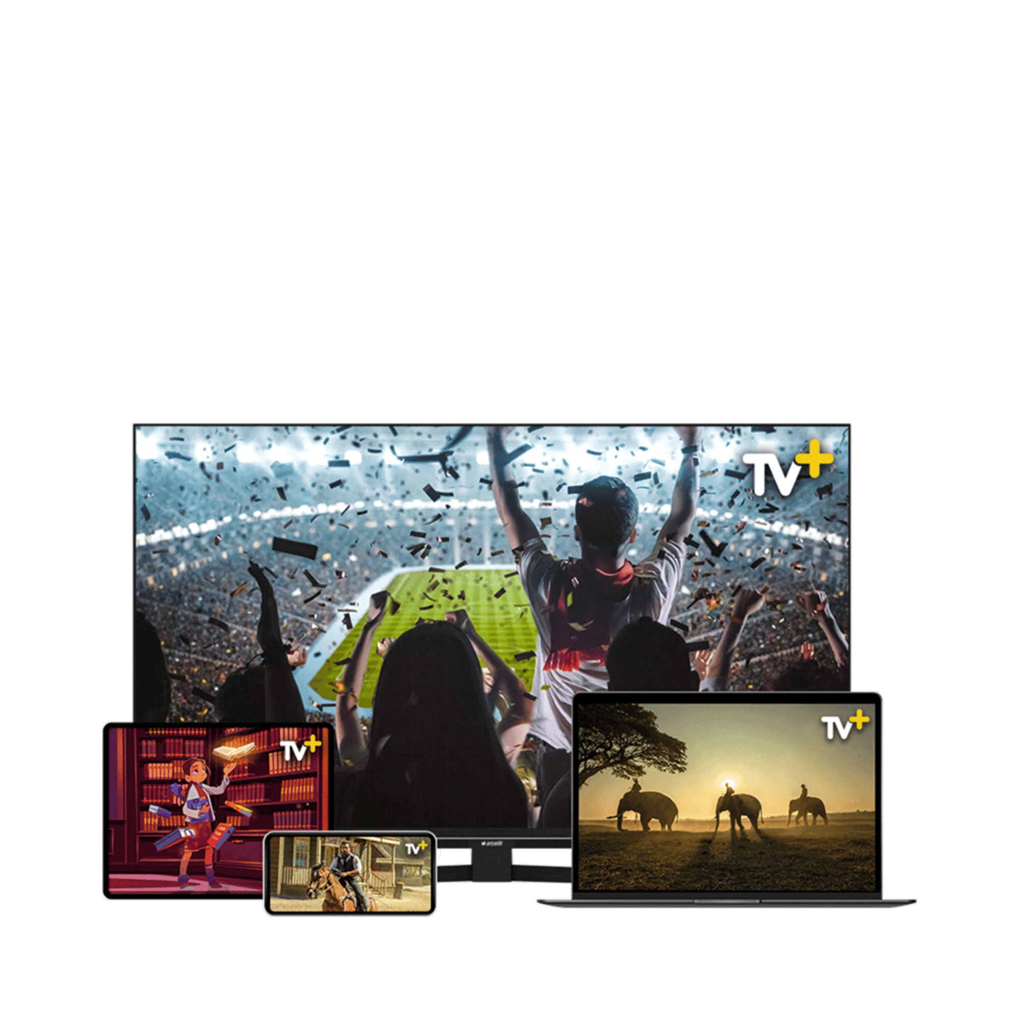 TV+ 12AY Üyelik Kartı Televizyon Aksesuarları