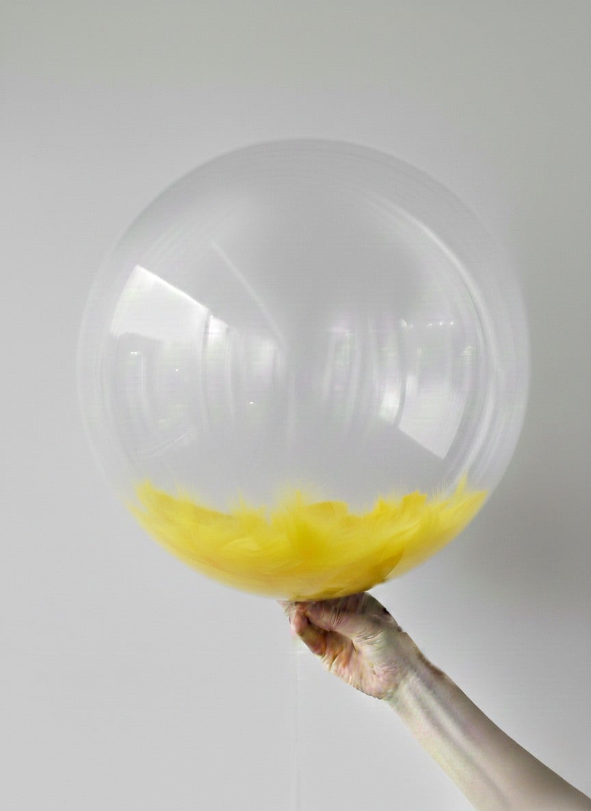  Sarı Tüylü Şeffaf Balon