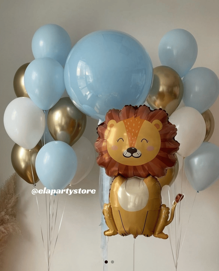 MAKARON ASLAN ASLAN FOLYO BALON KONSEPT