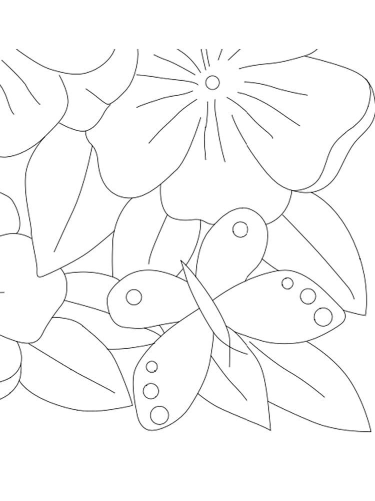 CALIN - Berrin Şengöz Nakış Deseni -  Papatyalar