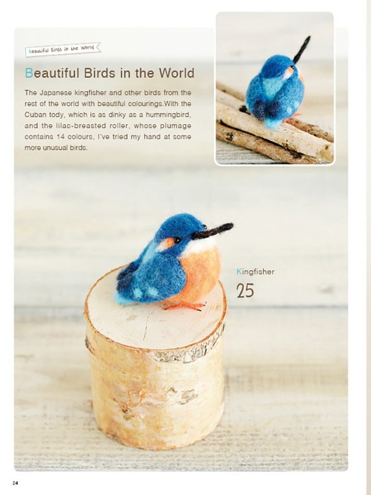 Cute Birds to Make with Needle Felting (İngilizce)