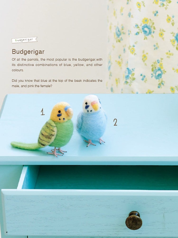 Cute Birds to Make with Needle Felting (İngilizce)
