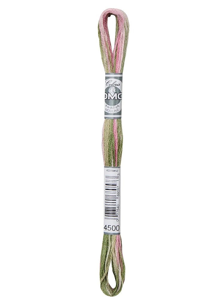 DMC Coloris Muline İplik 517-4500