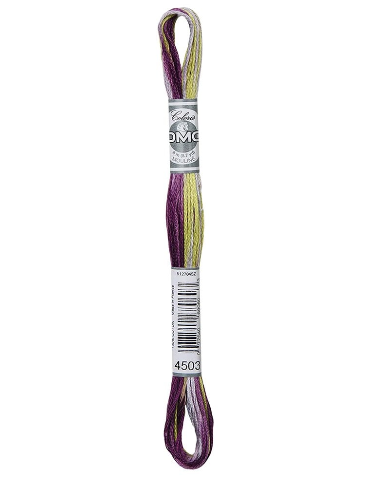 DMC Coloris Muline İplik 517-4503