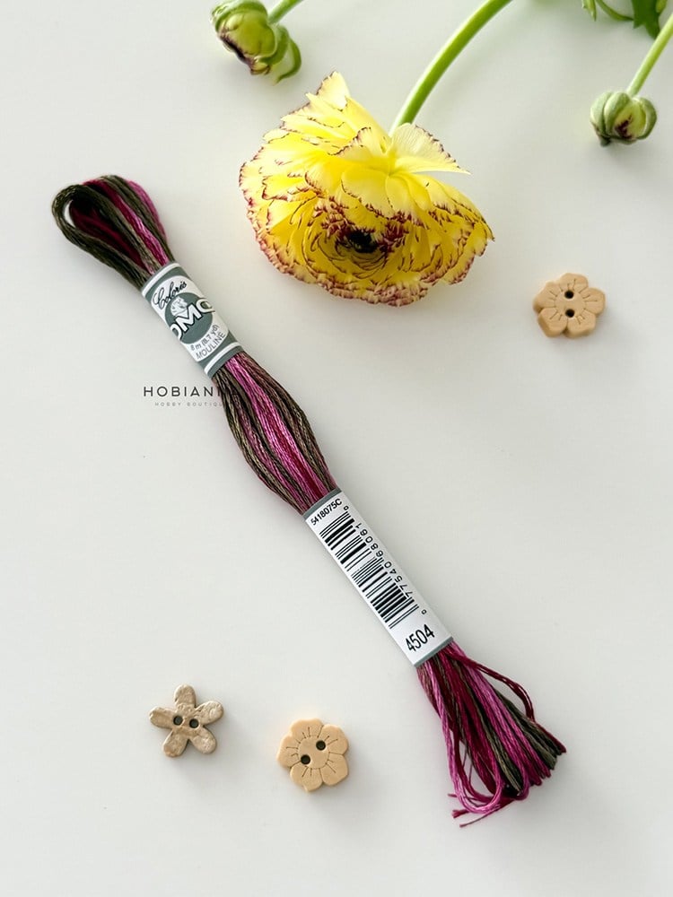 DMC Coloris Muline İplik 517-4504