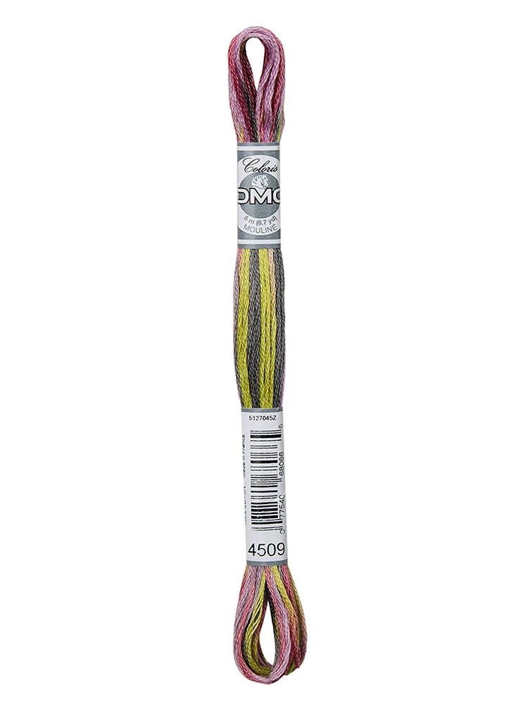 DMC Coloris Muline İplik 517-4509