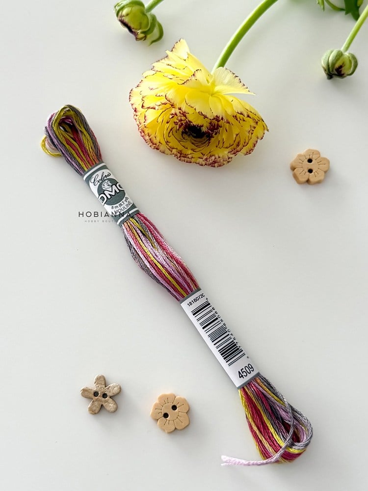 DMC Coloris Muline İplik 517-4509