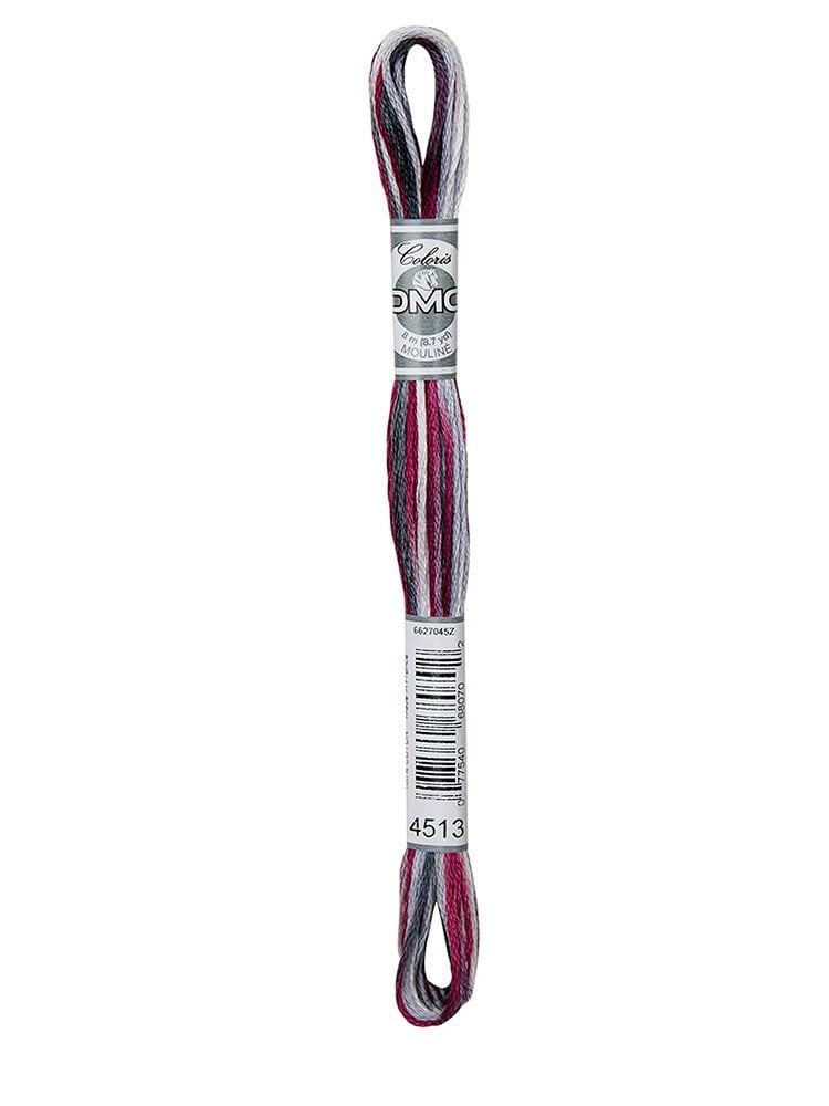 DMC Coloris Muline İplik 517-4513