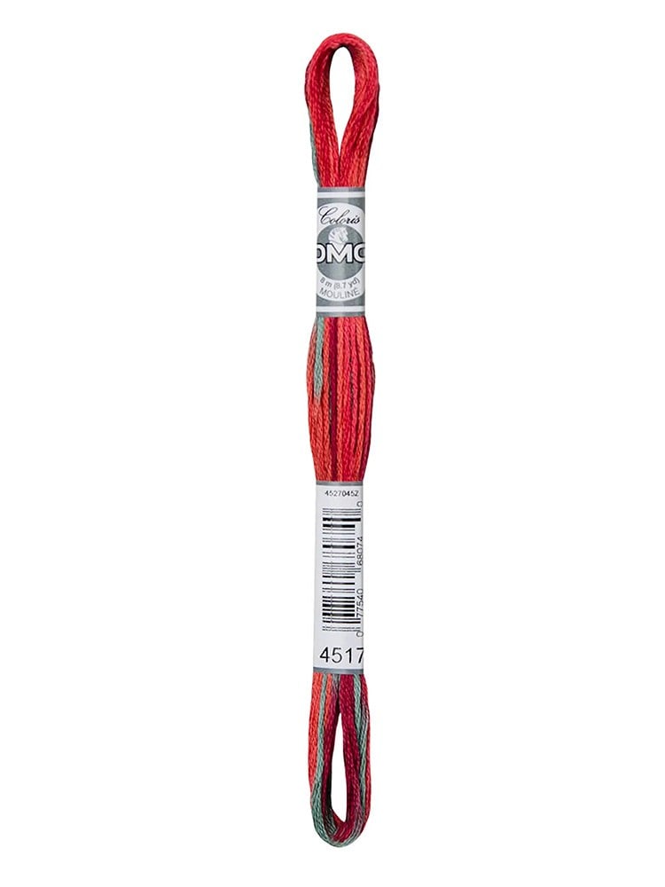 DMC Coloris Muline İplik 517-4517
