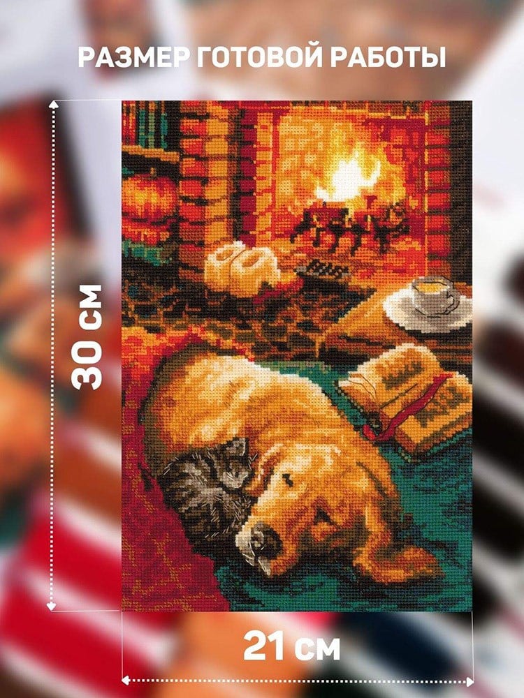 Riolis Kanaviçe Kiti - 2004