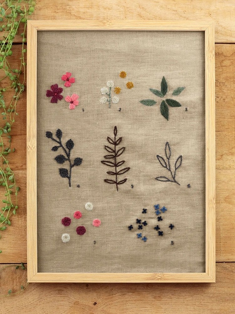 The Botanist's Cabinet - 15887-E22