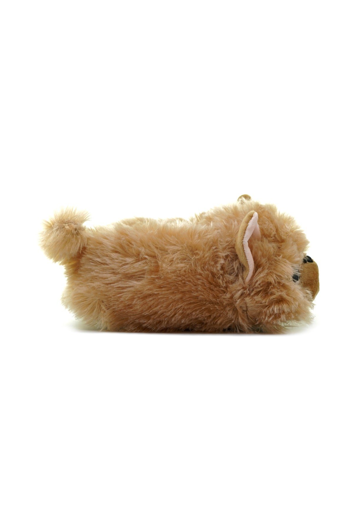 twigy-kedi-2-unisex-hayvanli-panduf-36-0c6-d0.jpeg