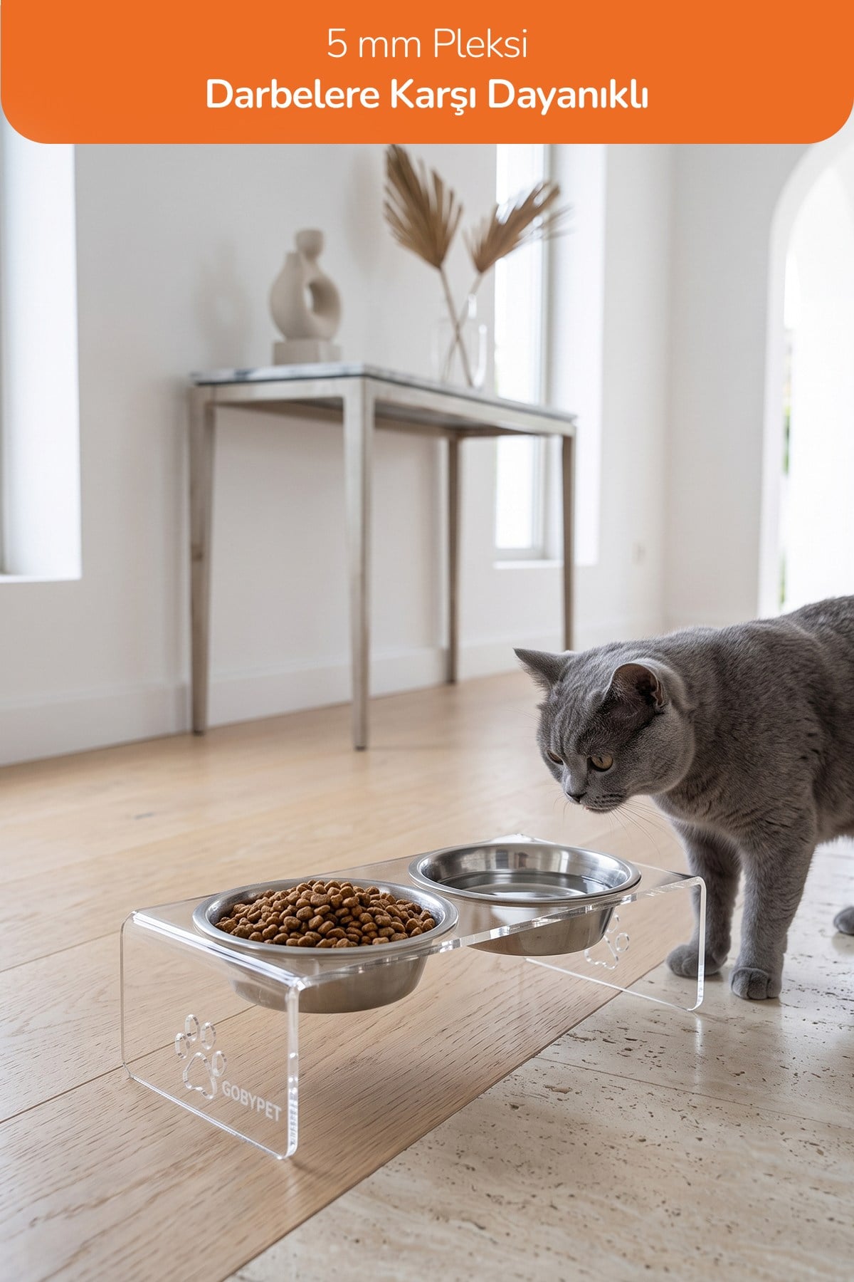 2'li Seramik Dekoratif Kedi Ve Köpek Pleksi Mama & Su Kabı Paspas