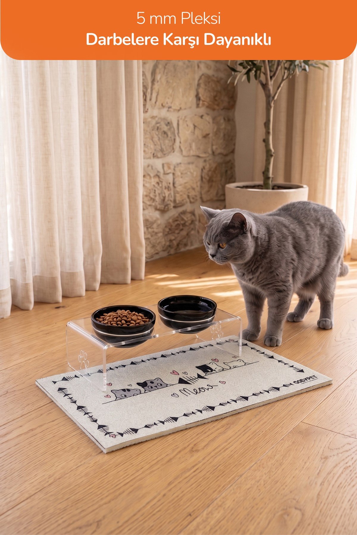 2'li Seramik Dekoratif Kedi Ve Köpek Pleksi Mama & Su Kabı Paspas
