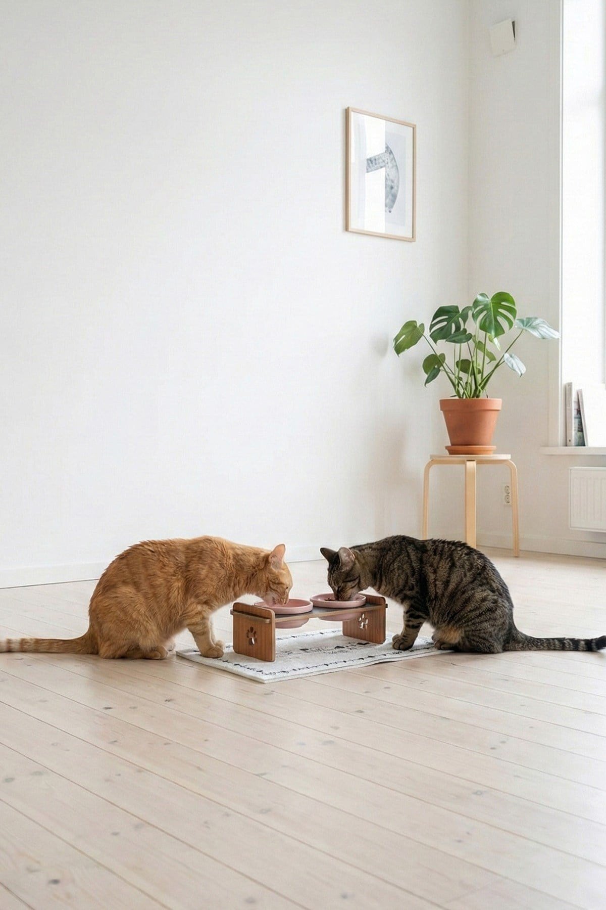 Ahşap Standlı Seramik Kaseli Kedi Ve Köpekler İçin Mama-Su Kabı Antrasit