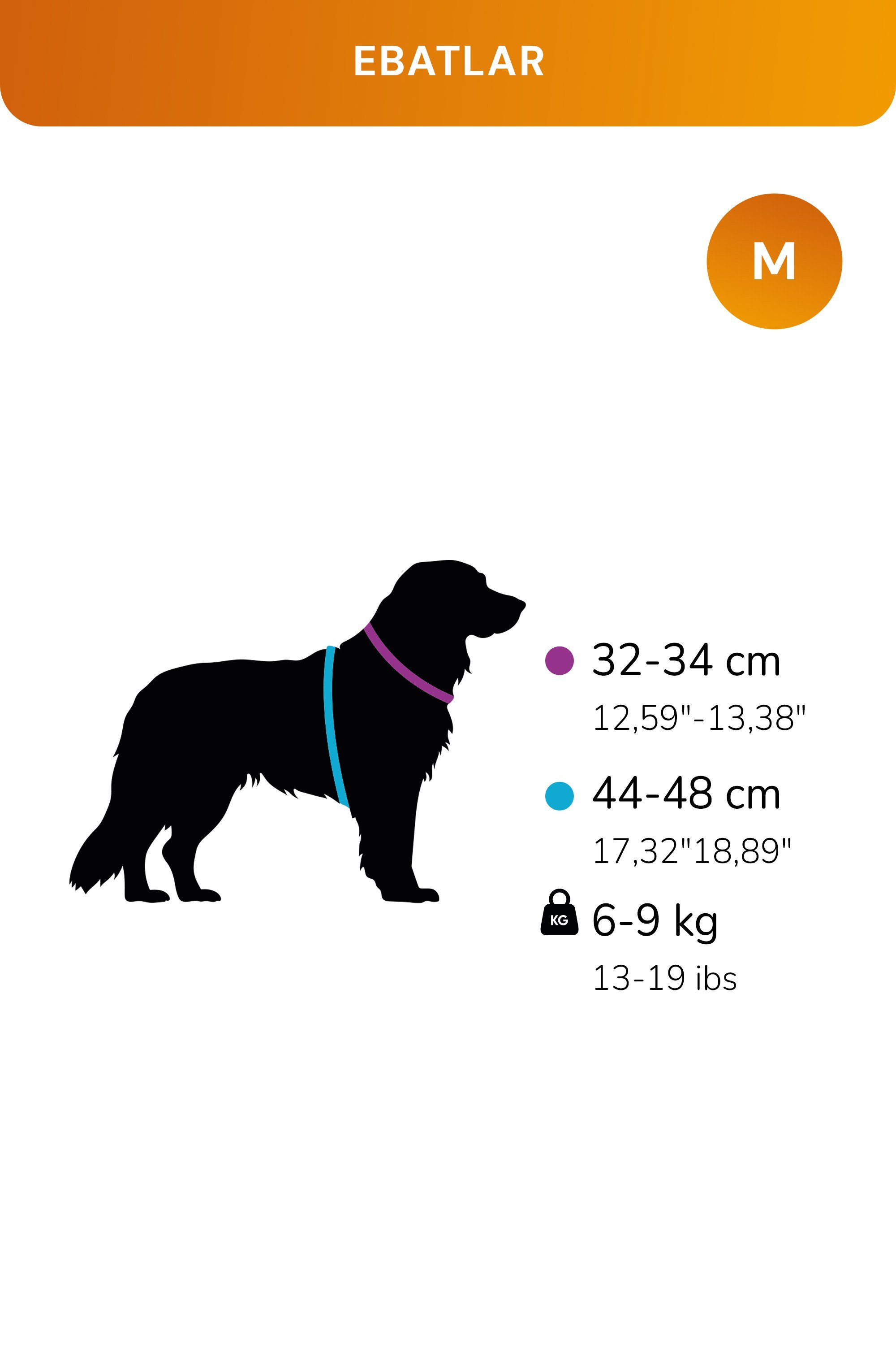 Kediler Ve Köpekler İçin Rahat, Dayanıklı Göğüs Tasması M