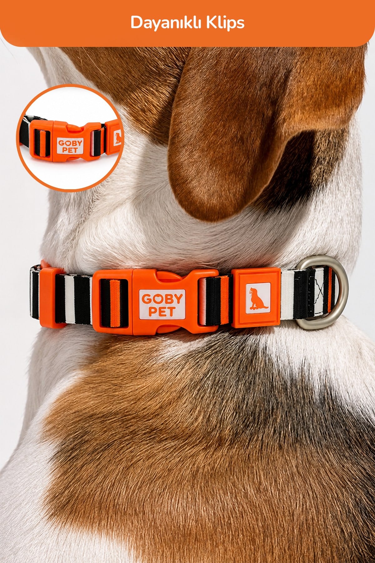Köpekler İçin Dayanıklı Ve Güvenli, Desenli Boyun Tasması ( 25mm )