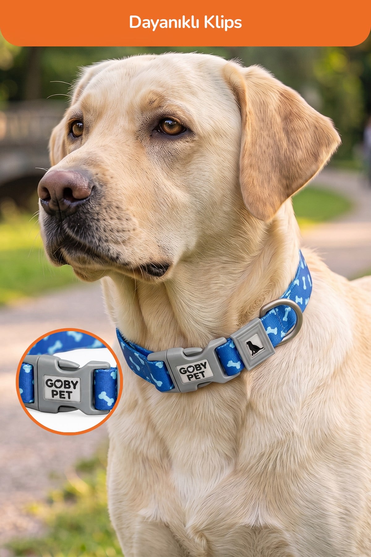 Köpekler İçin Dayanıklı Ve Güvenli, Desenli Boyun Tasması ( 25mm )