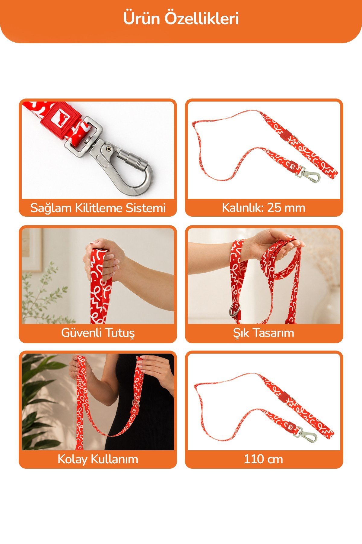 Köpekler İçin Dayanıklı Ve Güvenli, Desenli Gezdirme Tasması ( 25mm )