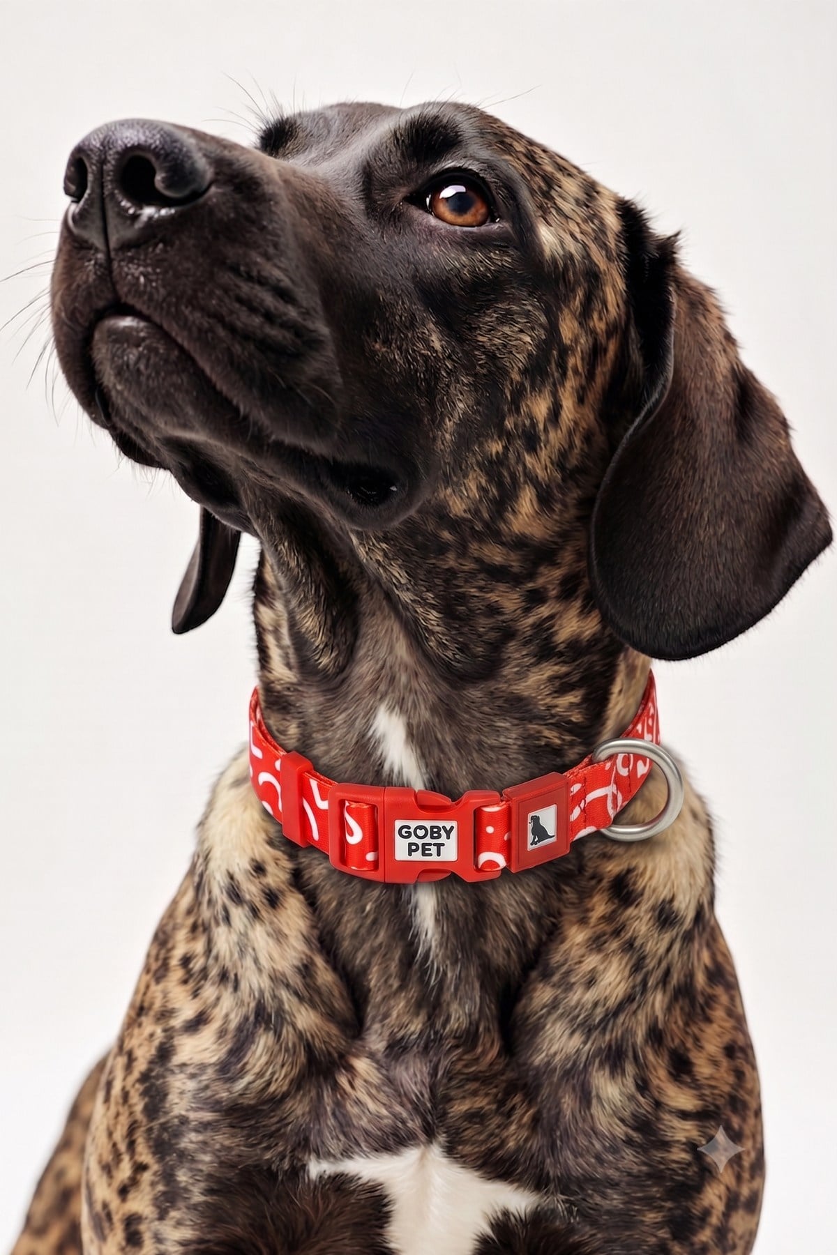 Köpekler İçin Dayanıklı Ve Güvenli, Desenli Boyun Tasması ( 25mm )