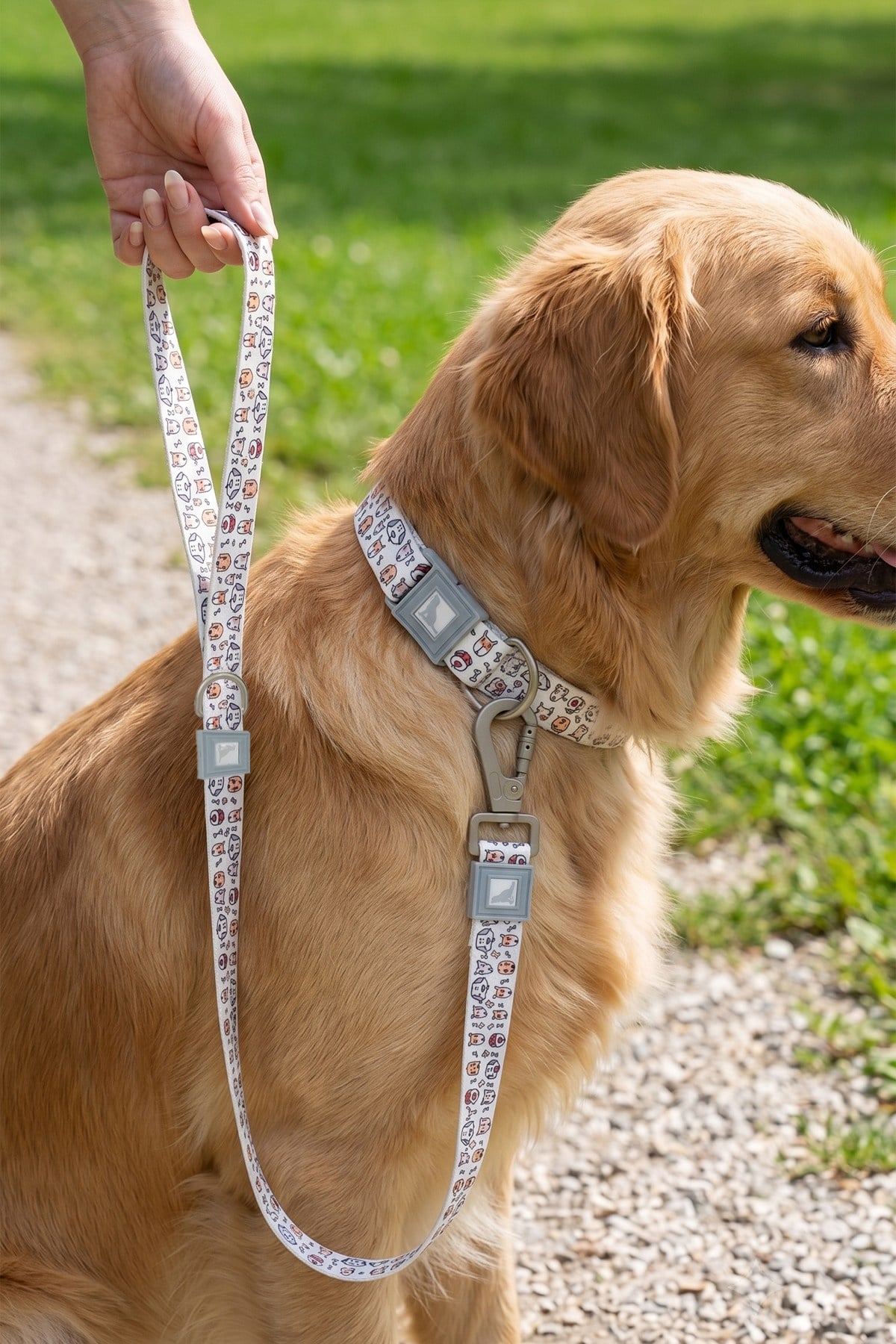 Köpekler İçin Dayanıklı Ve Güvenli, Desenli Gezdirme Tasması ( 25mm )