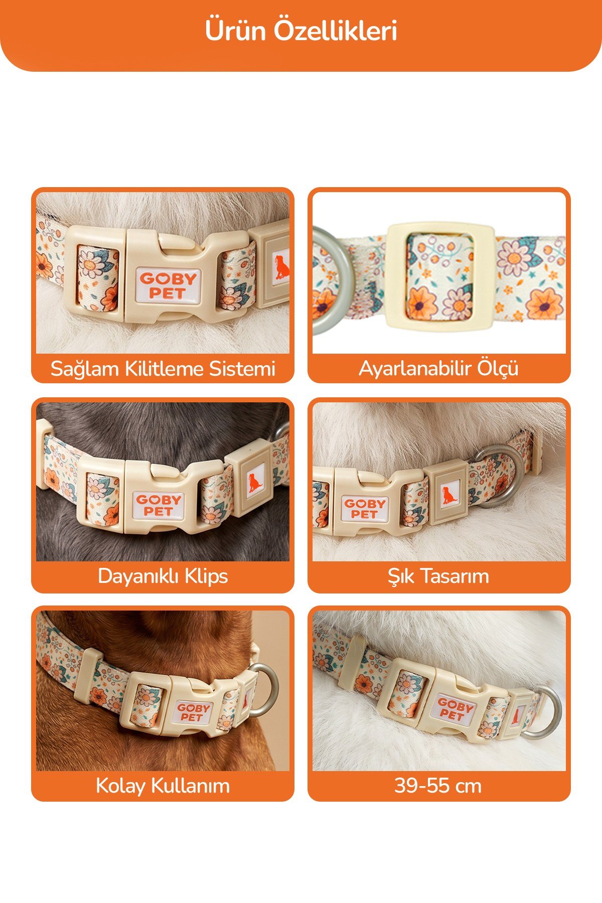 Köpekler İçin Dayanıklı Ve Güvenli, Desenli Boyun Tasması ( 25mm )