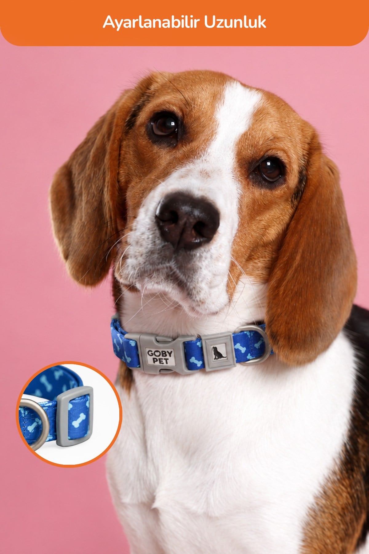 Köpekler İçin Dayanıklı Ve Güvenli, Desenli Boyun Tasması ( 25mm )