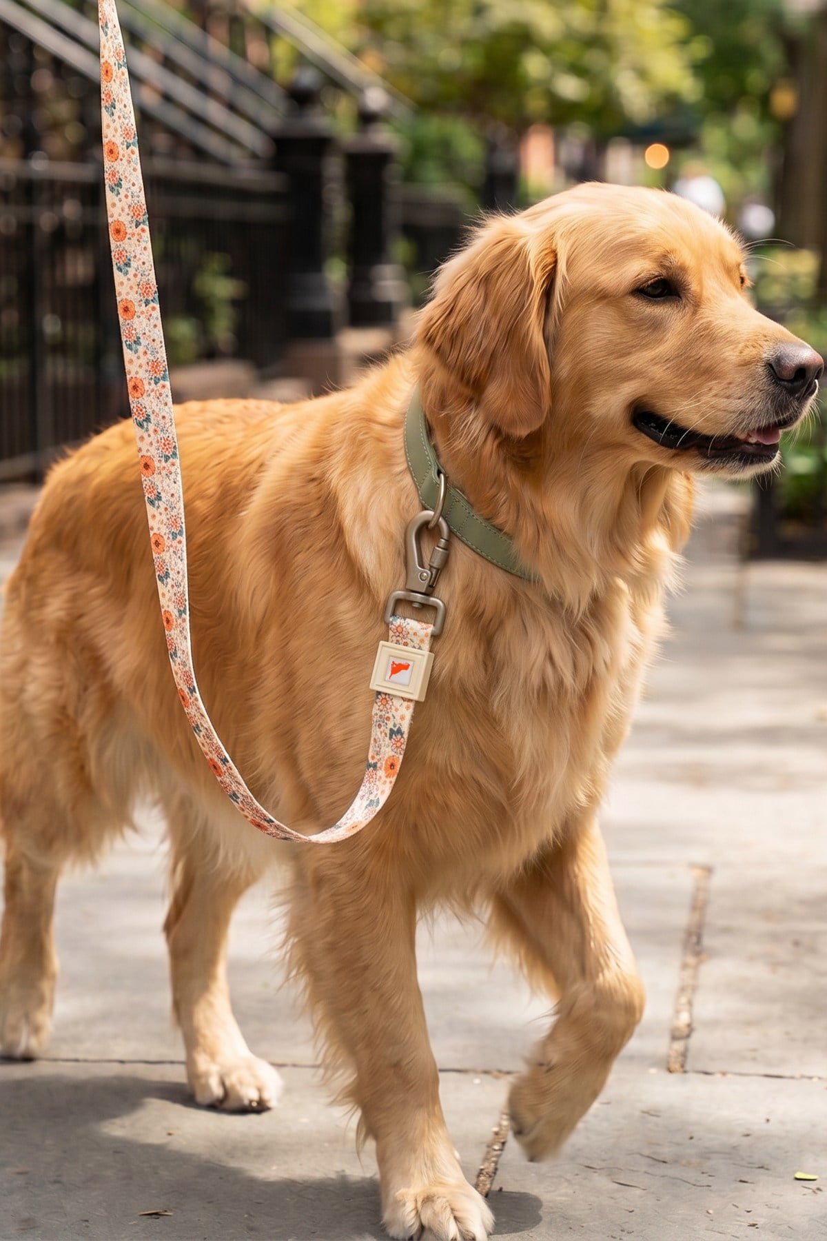 Köpekler İçin Dayanıklı Ve Güvenli, Desenli Gezdirme Tasması ( 25mm )