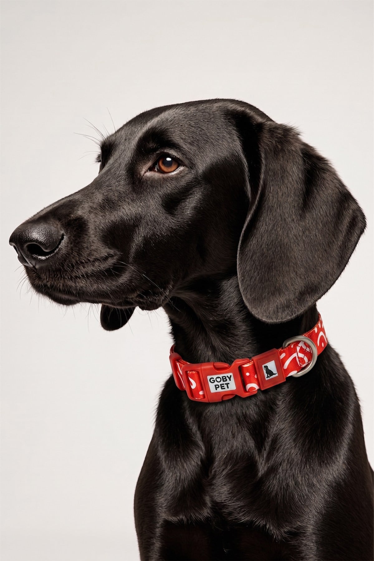 Köpekler İçin Dayanıklı Ve Güvenli, Desenli Boyun Tasması ( 25mm )