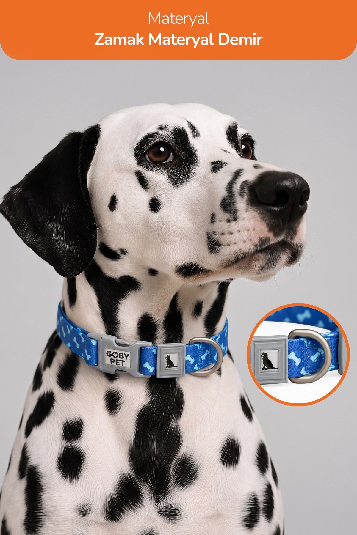 Köpekler İçin Dayanıklı Ve Güvenli, Desenli Boyun Tasması ( 25mm )