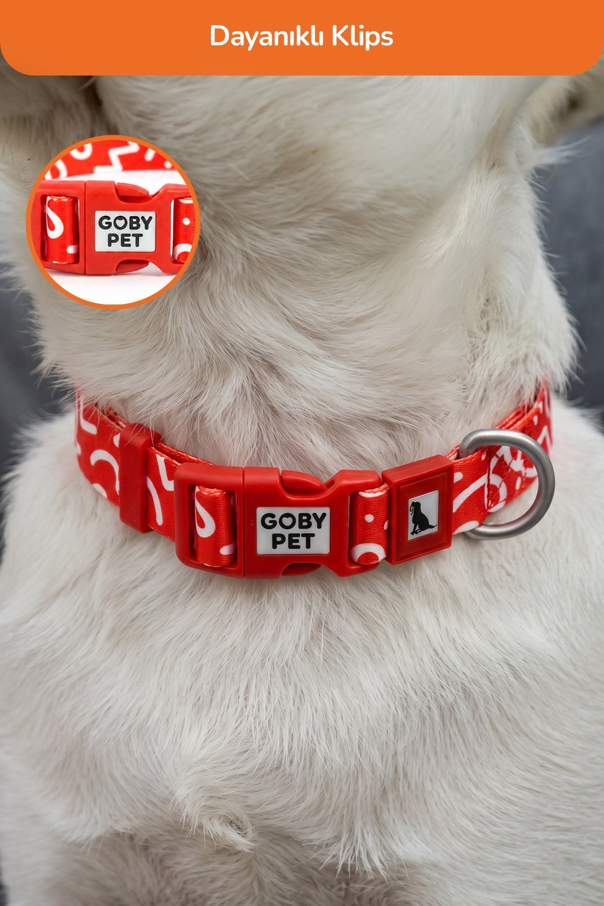 Köpekler İçin Dayanıklı Ve Güvenli, Desenli Boyun Tasması ( 25mm )