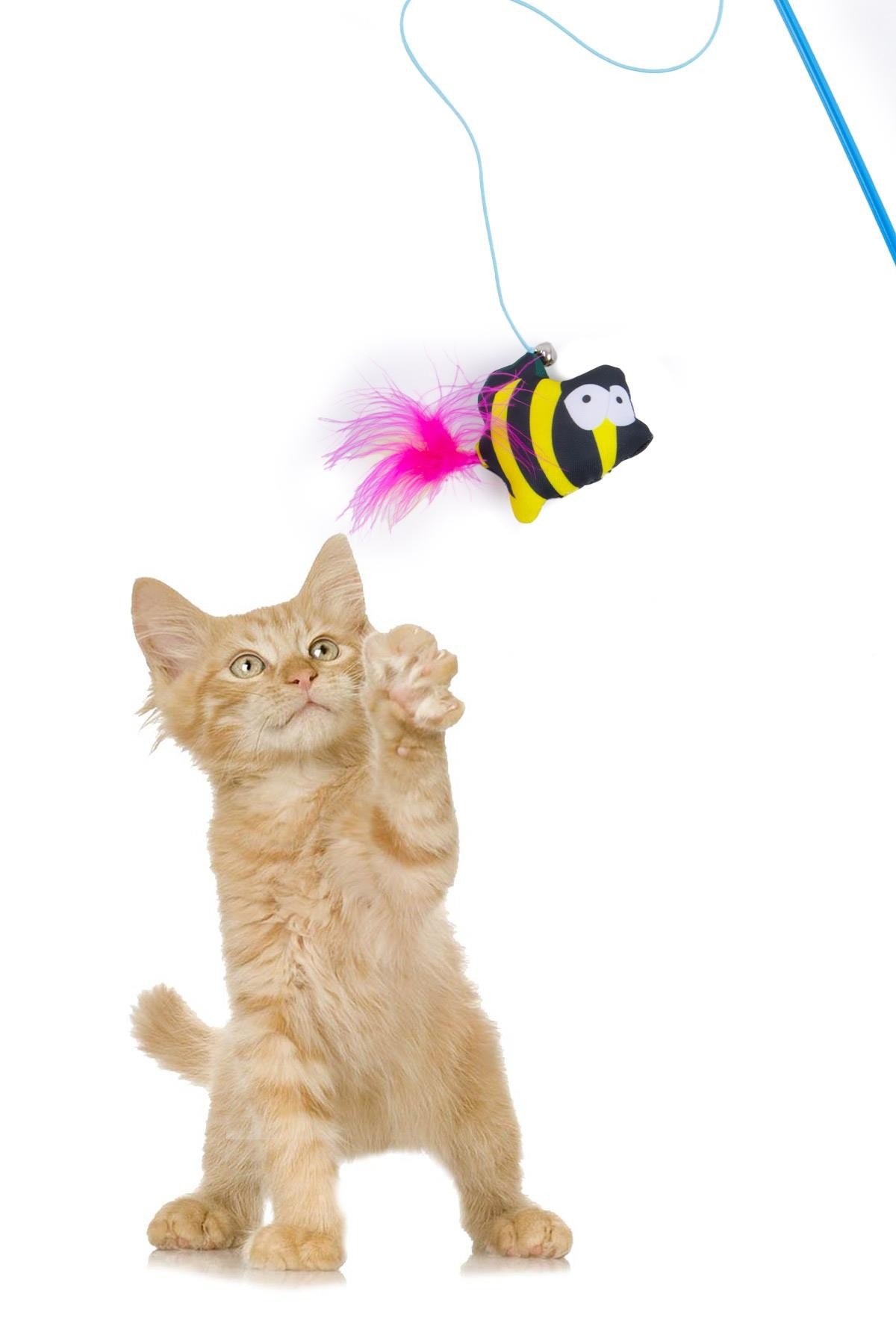 Tüylü Kedi Oltası, Arılı  Kedi Oyun Oltası
