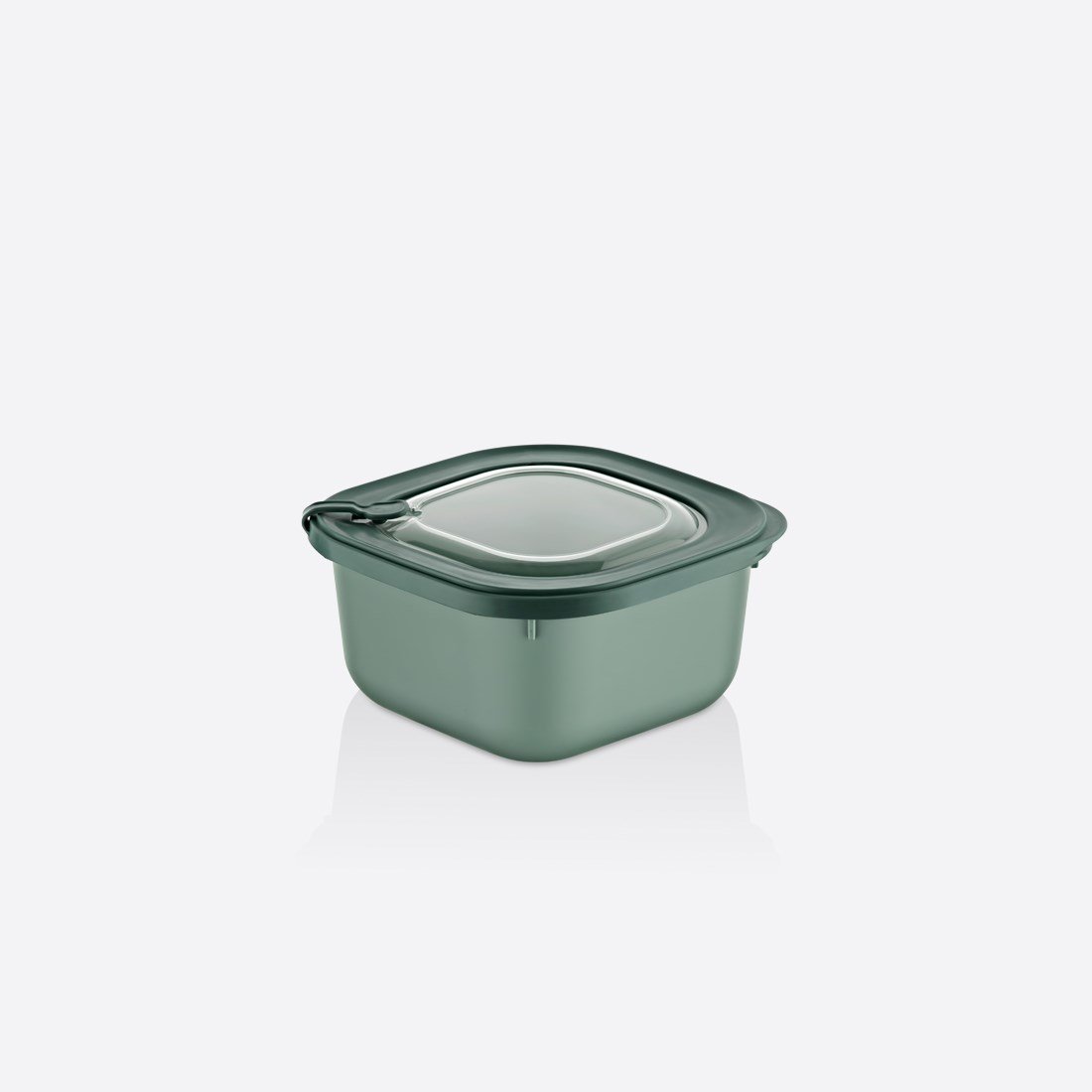 1100 ml MicroSafe Saklama Kabı