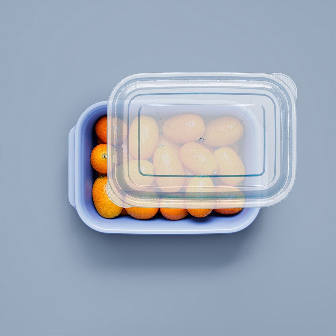 1450 ml Easy Keep Saklama Kabı