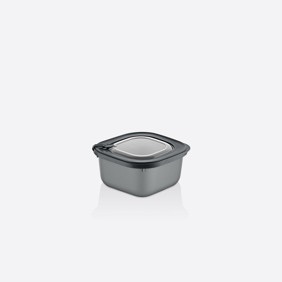 600 ml MicroSafe Saklama Kabı