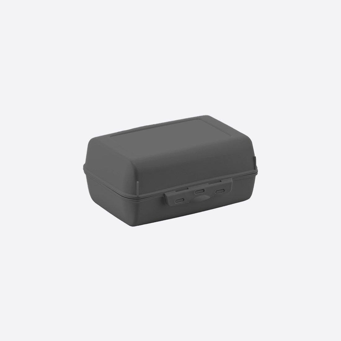 Large Lunch Box