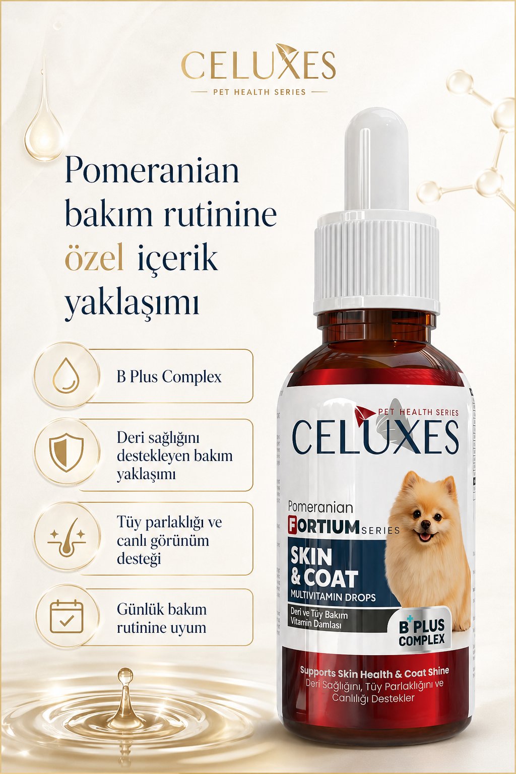 FORTIUM Pomeranian Damla